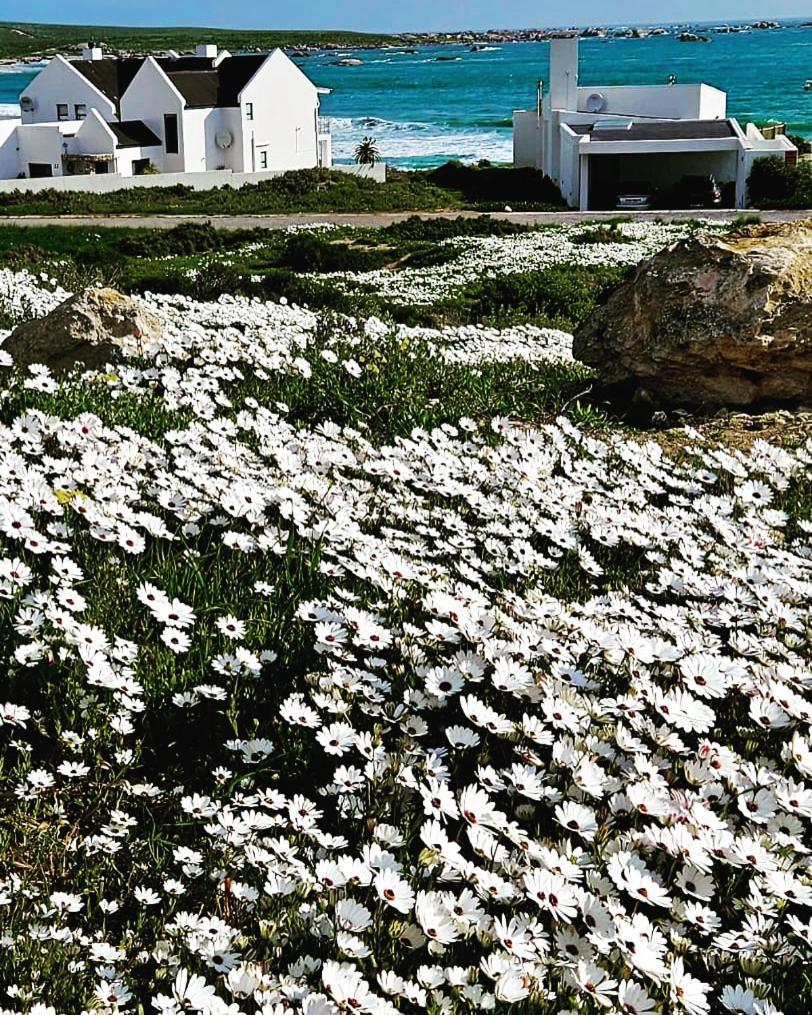 Villa Sonkwas 10 Paternoster Esterno foto
